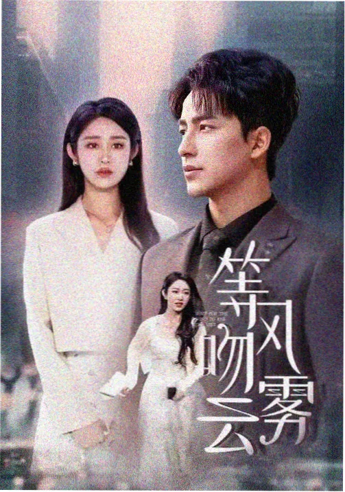 雾港回声 热播剧集